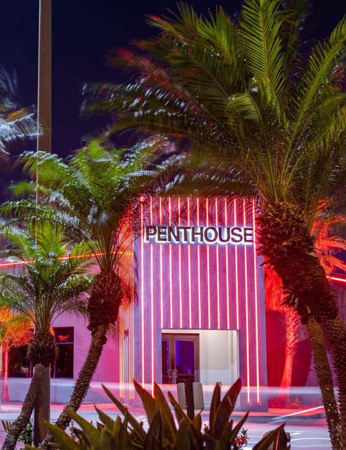 The PHC Tampa entrance at night, lit up behind palm trees
